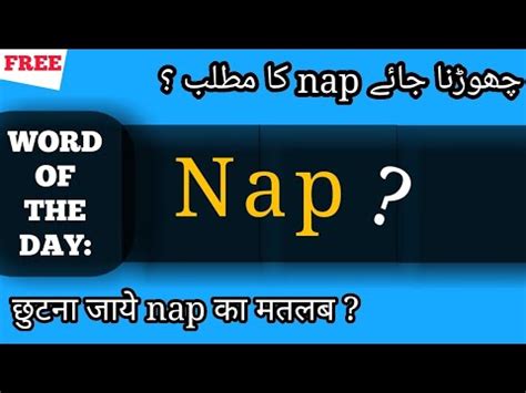 short nap meaning in urdu with example