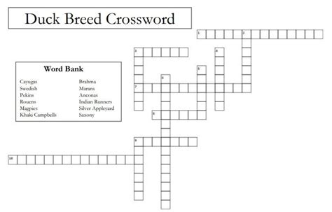 Crossword Duckmaster Answers The Mystery Ryders