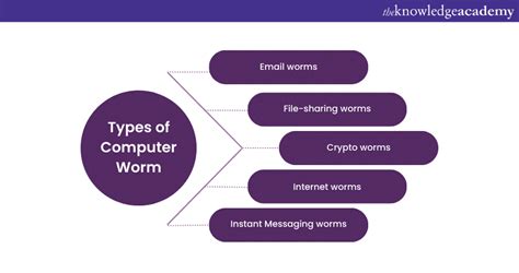short note on worm in network security