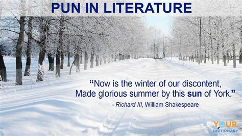 short pun examples in literature