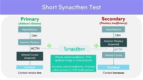 short synacthen test result interpretation