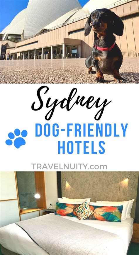short term pet friendly accommodation sydney