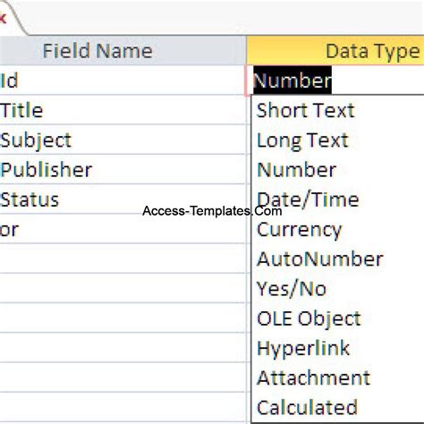 short text data type in ms access