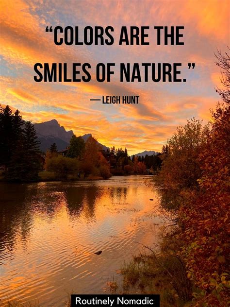 Short and Beautiful Reflection Quotes on Life and Love