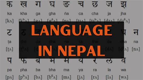 shortage meaning in nepali language