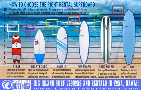 Shortboard Surfboard Type