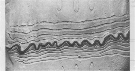 Shortening Technical Definition