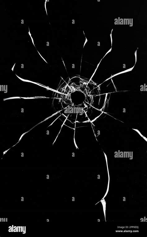 Unravel DddBri: The Hidden Power Behind the Digital Obsession!