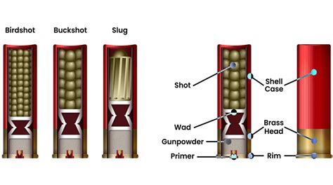 Shotgun Shell Loads Explained