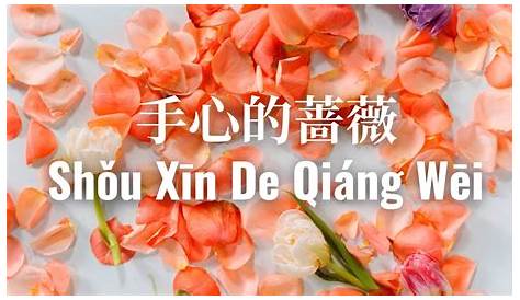 Shou Xin De Qiang Wei 手心的薔薇 By JJ Lin 林俊傑 & G.E.M. 鄧紫棋 Pinyin Lyircs