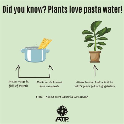 Should you really give your plants leftover pasta water?