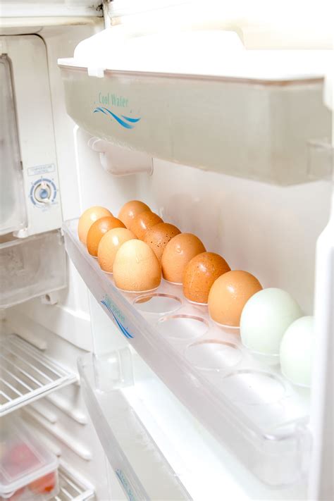 Should Eggs Be Stored In A Refrigerator