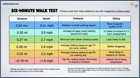 Is Intermittent Fasting Safe For Seniors A Complete Guide