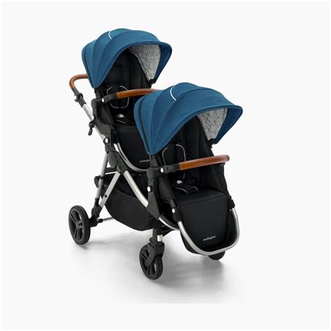 Should I Get A Single To Double Stroller