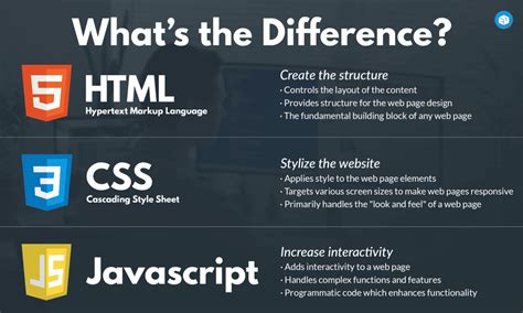 should i learn html css and javascript