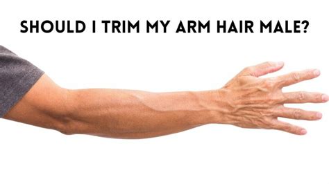 Should I Trim My Arm Hair  Guy  Tips And Tricks For Guys 