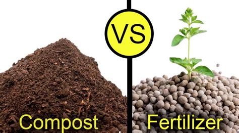 Should I Use Compost Or Fertilizer