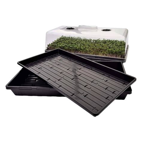 should microgreen trays have holes