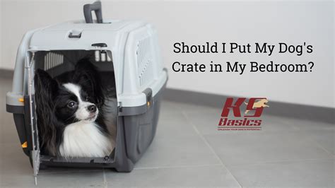 Should My Dog's Crate Be In My Bedroom