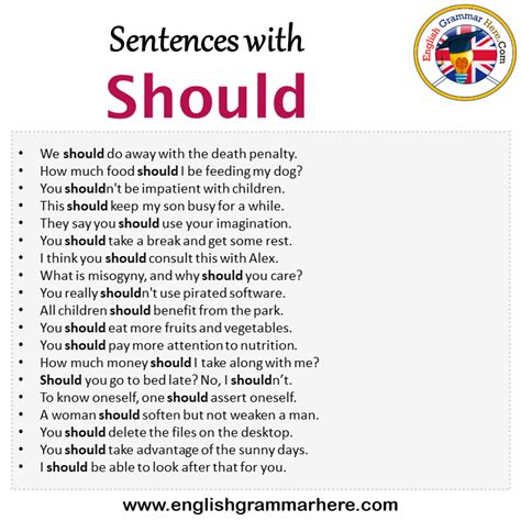 should questions examples sentences
