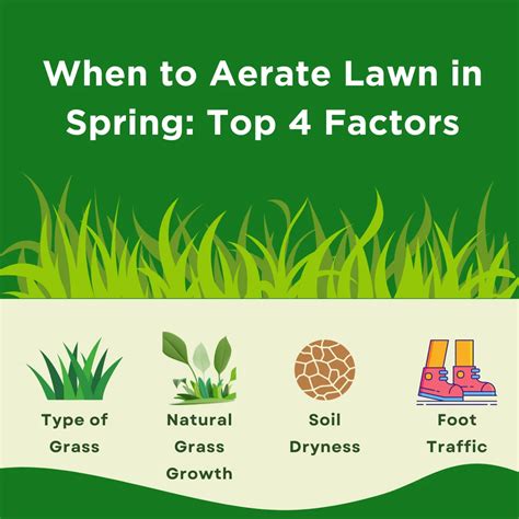 Should You Aerate This Spring?