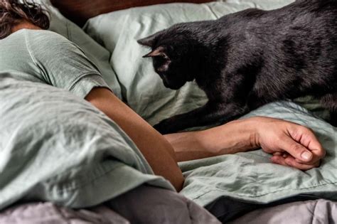 Should You Let Your Cat In The Bedroom