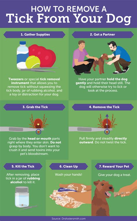 Should You Pull Ticks Off Dogs