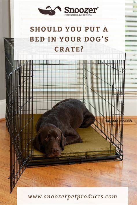 Should You Put A Bed In A Crate For A Puppy