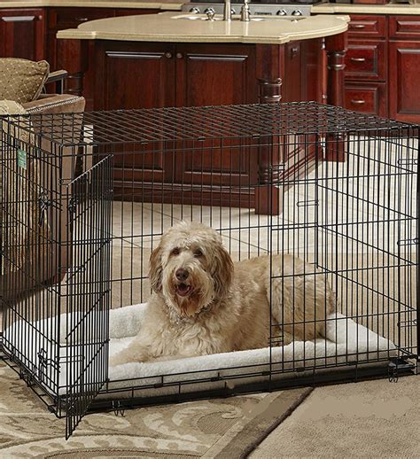 Should You Put A Puppy Crate In Your Bedroom