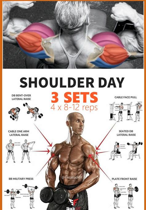 Shoulder Workout Size