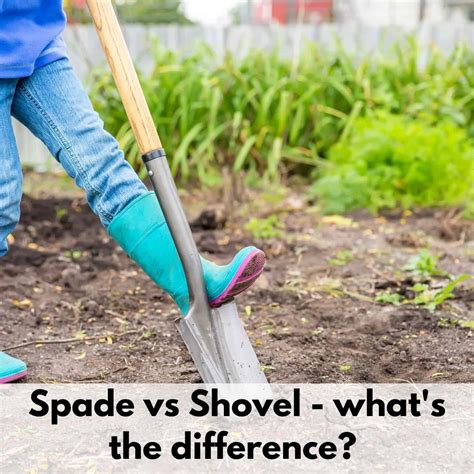 Shovel Or Spade Difference