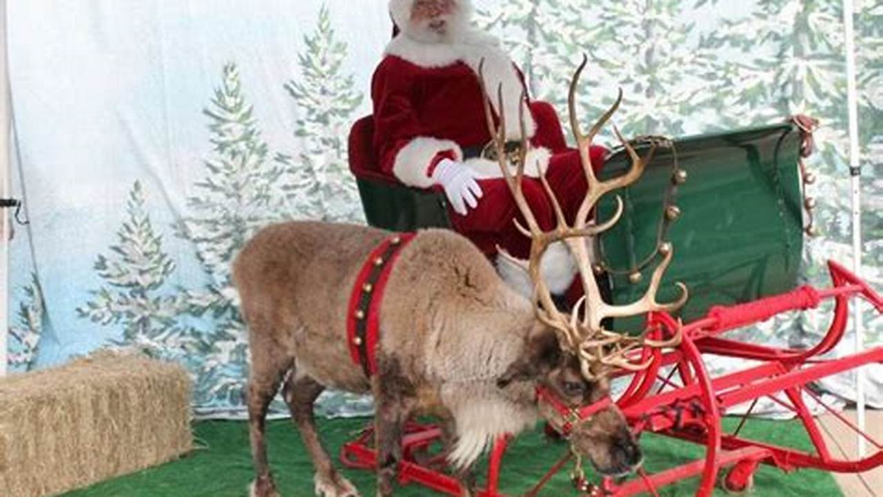 Discover the Magic of Santa's Reindeer: A Picture-Perfect Christmas