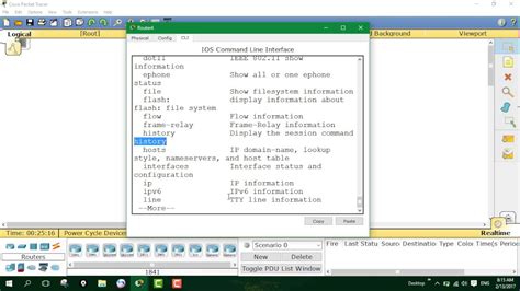 show command in cisco
