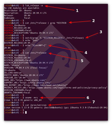 show command in linux