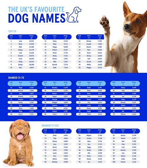 Show Dog Names