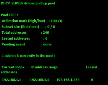 show ip dhcp pool