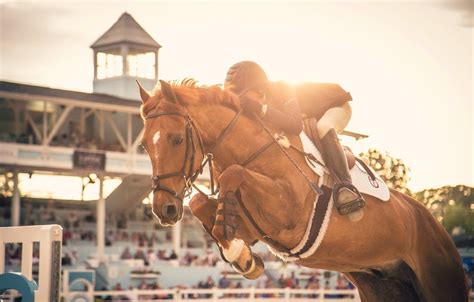 Show Jumping High Definiton HD Wallpapers All HD Wallpapers
