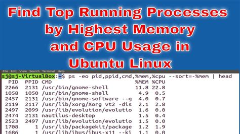 Show Linux Process Memory Usage
