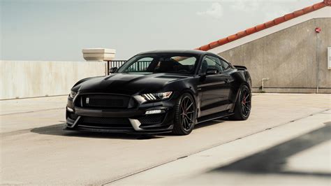 Mustang HD Wallpaper High Quality