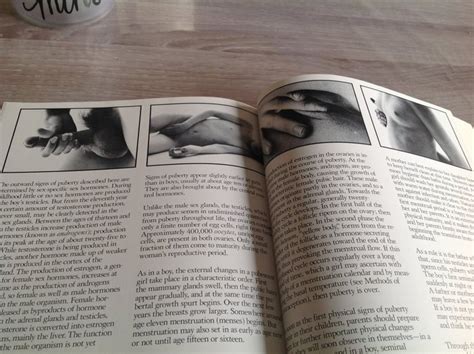 Look Show Me By Will Mcbride