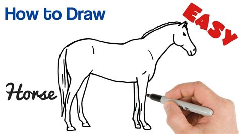 show me how to draw a horse