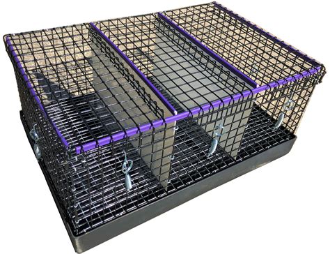 show rabbit carrier cages