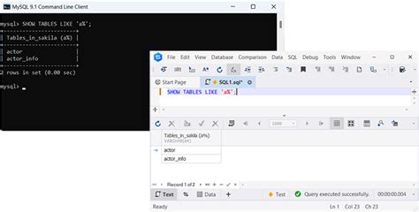 Show Tables In The Database