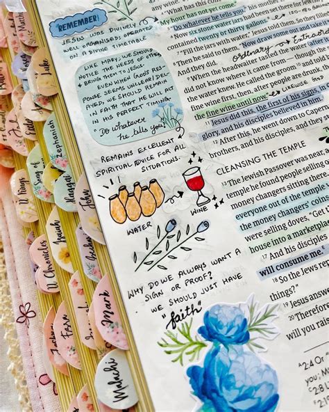 showcases chapter two