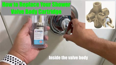 Shower Body Replacement