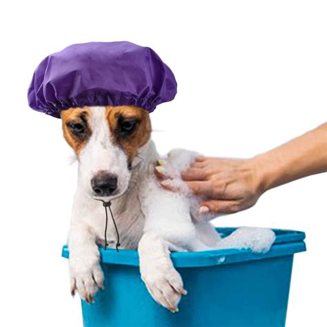 Shower Cap Dog