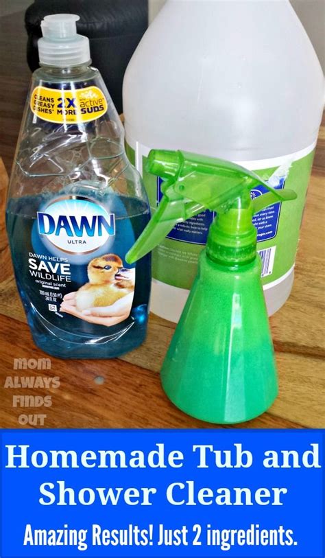 Shower Cleaner Brush Diy