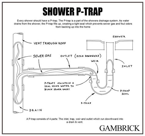 Shower Does Not Have A P Trap