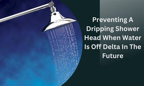 Shower Head Doesn't Stop Dripping