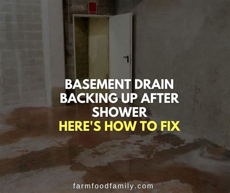 Shower In Basement Backing Up